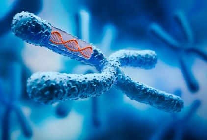 Risk-Based Screening - Research Call 2025
